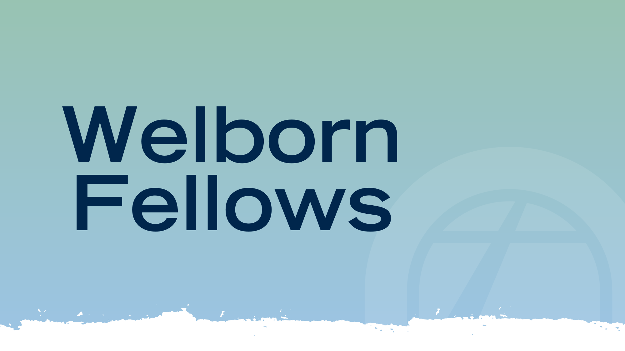 Welborn Fellows